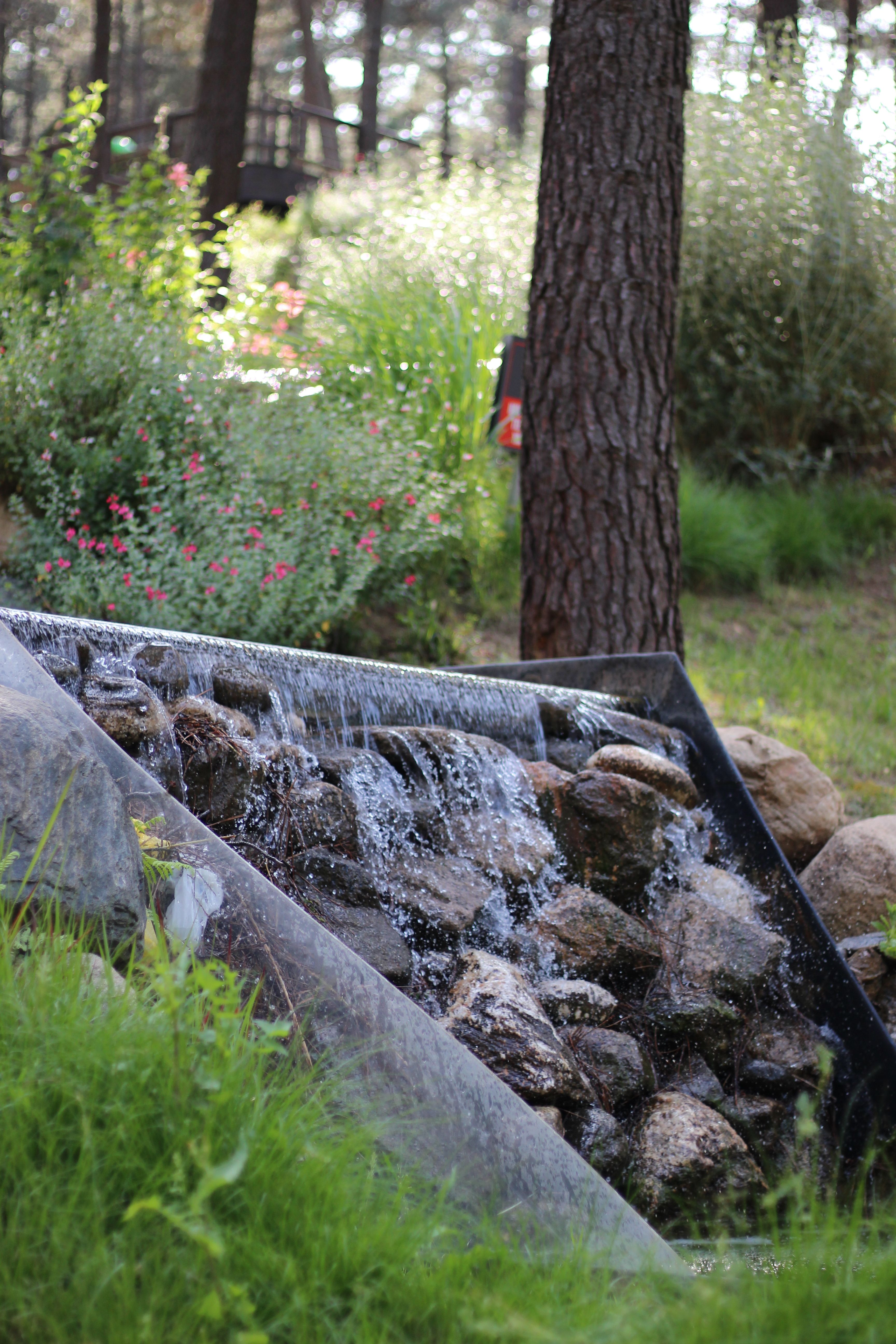Small waterfall in a serene forest setting surrounded by lush greenery and blooming flowers.