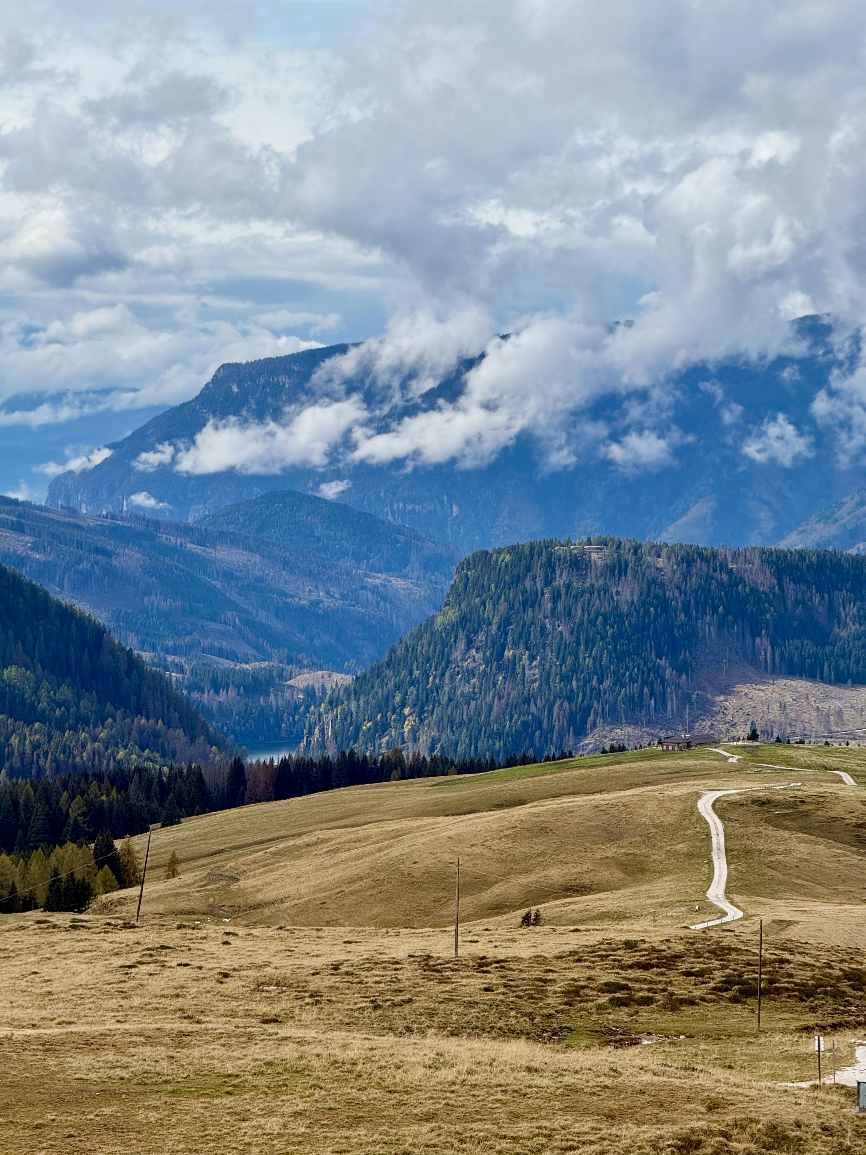 Scenic mountain landscape at Passo Rolle, showcasing lush greenery and dramatic clouds in Trentino, Italy.
