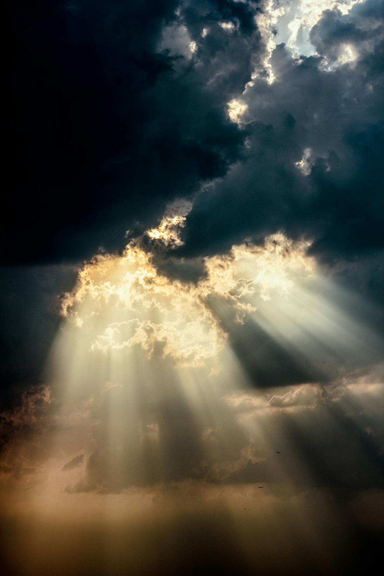 Heaven Background Sacred Clouds Background Image And Wallpaper for Free  Download