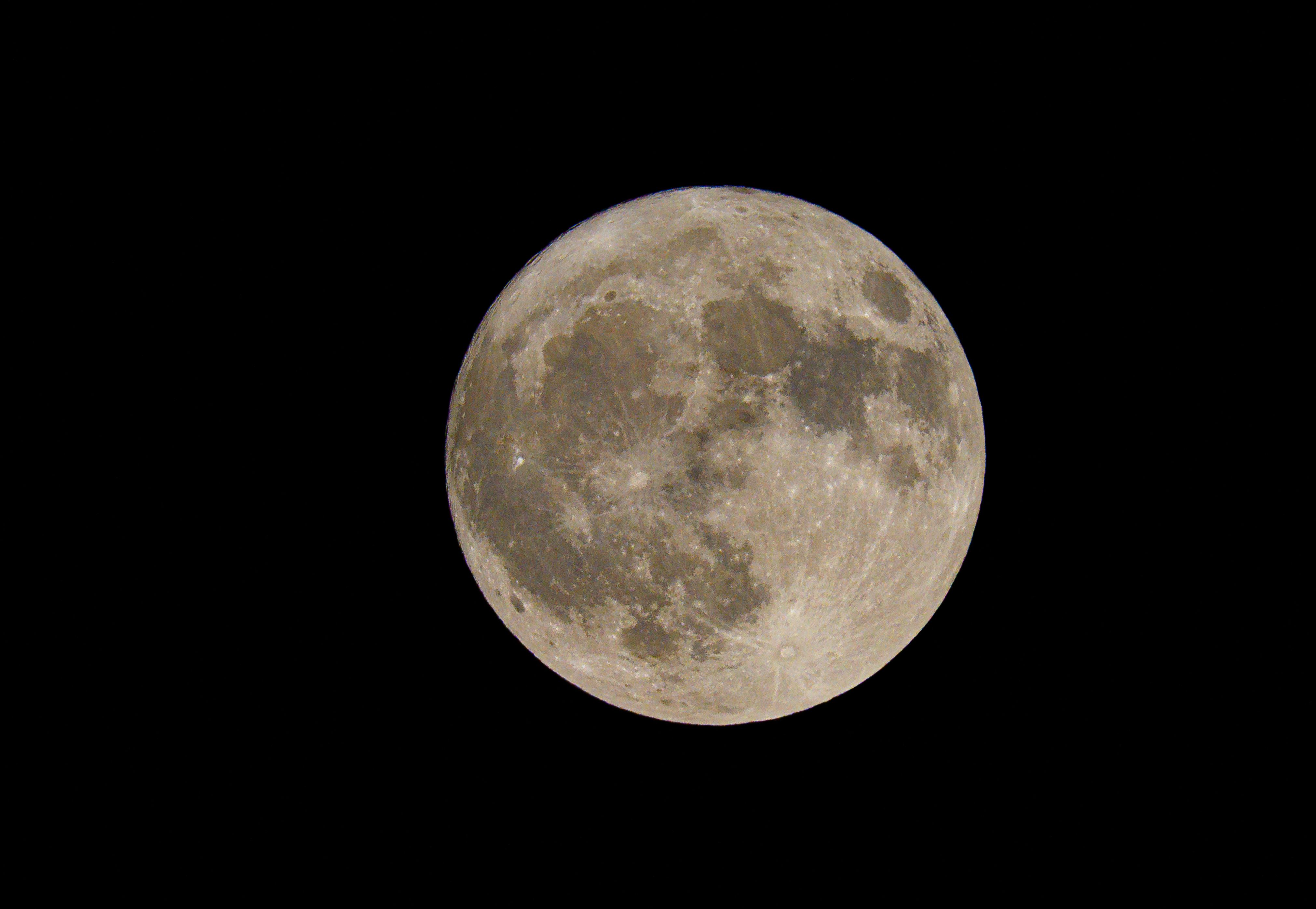 harvest moon