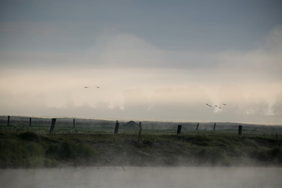 Habit 1: Early Birds Get the Worm