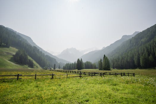Photo by eberhard grossgasteiger