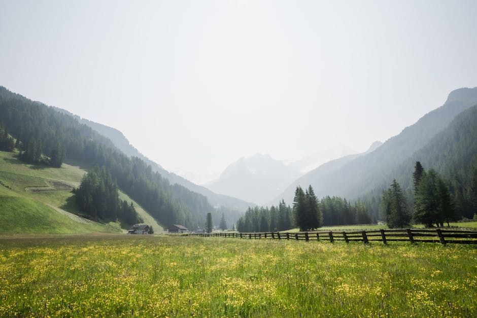 친환경 관련 이미지