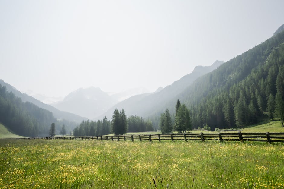 친환경 관련 이미지