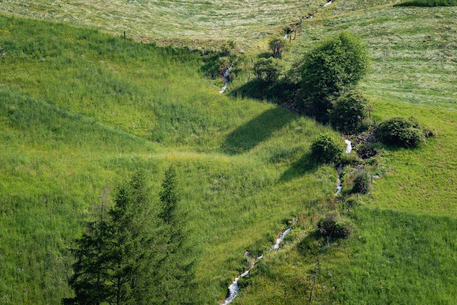 친환경 관련 이미지