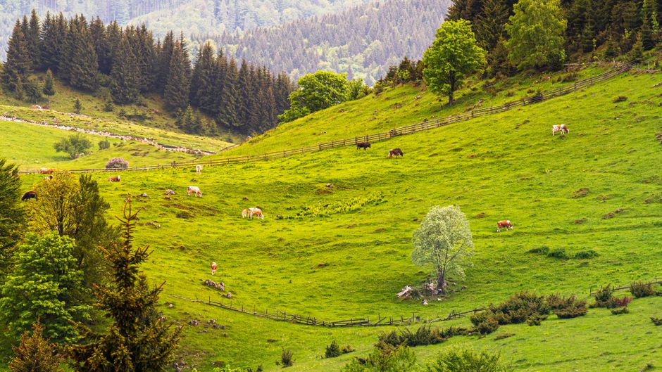 Quelle est la ville la moins chère de Roumanie pour s'installer ?