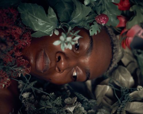 Free A serene portrait of a woman surrounded by lush, colorful foliage. Stock Photo
