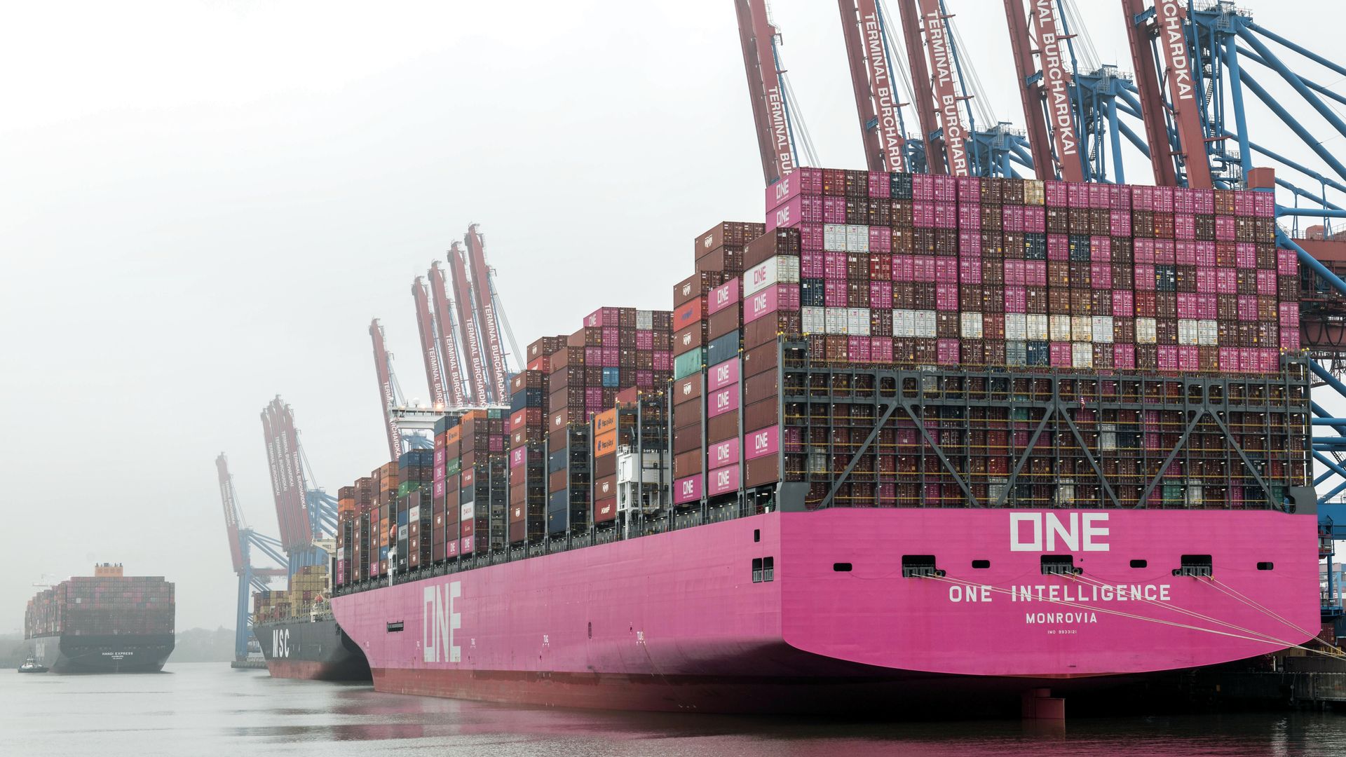 Large container ships docked at Hamburg Port, showcasing global trade and commerce.