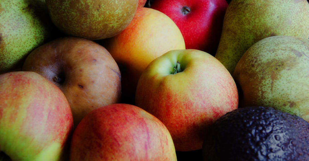 世華南加州分會遊濕地品純素 體驗生活美學