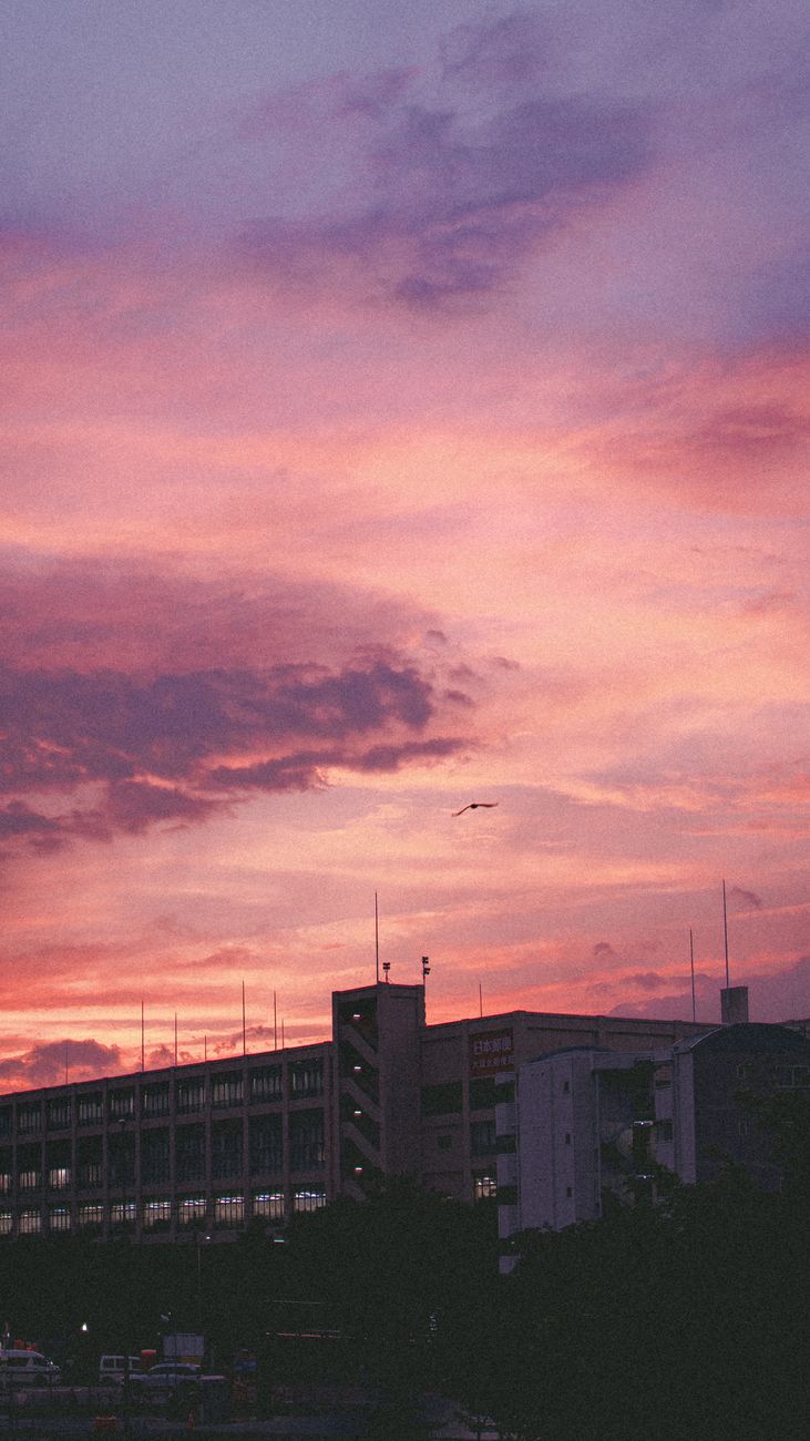 A vivid sunset sky with pink and purple hues above a cityscape, creating a dramatic and moody atmosphere.