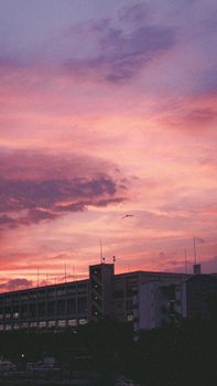 A vivid sunset sky with pink and purple hues above a cityscape, creating a dramatic and moody atmosphere.