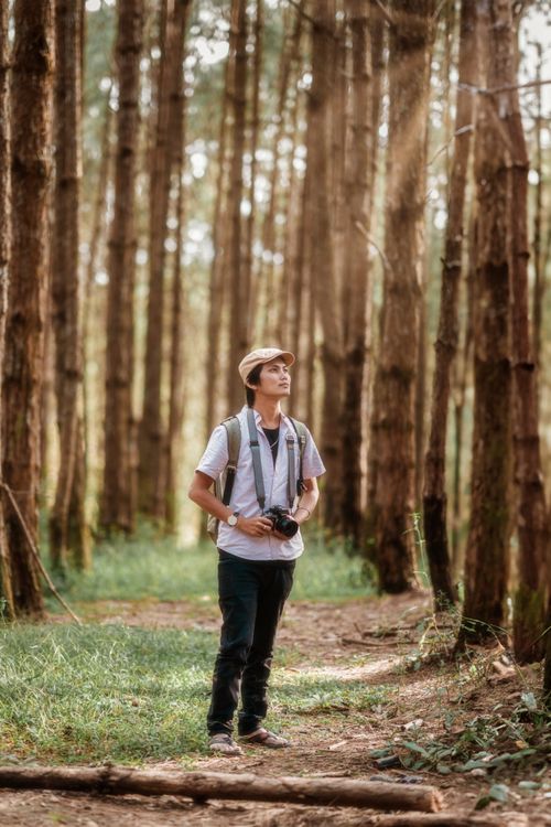 Free Photographer in a peaceful forest capturing nature's beauty. Stock Photo