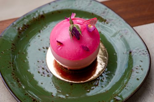 Free Delightful pink dessert elegantly presented on a rustic ceramic plate, perfect for gourmet food themes. Stock Photo