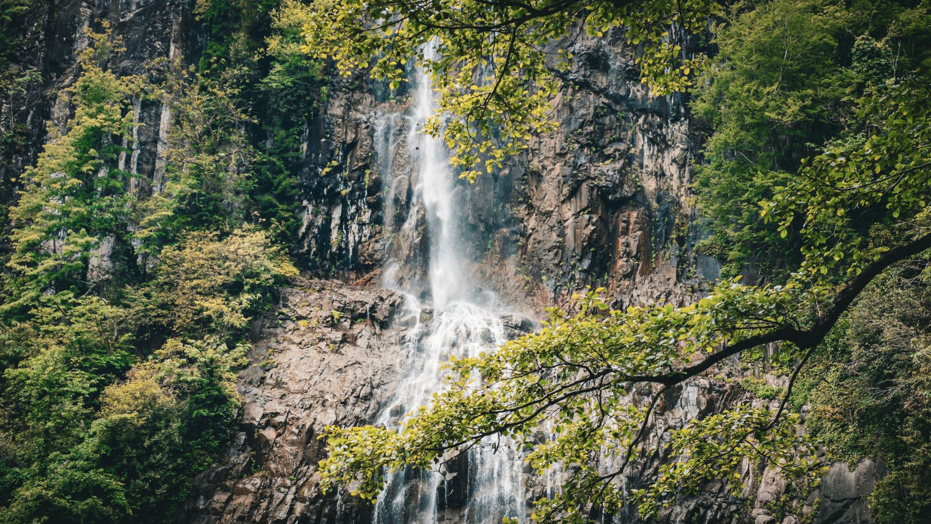 Beautiful waterfall cascading down rocky cliff surrounded by lush forest foliage in Artvin, Türkiye.