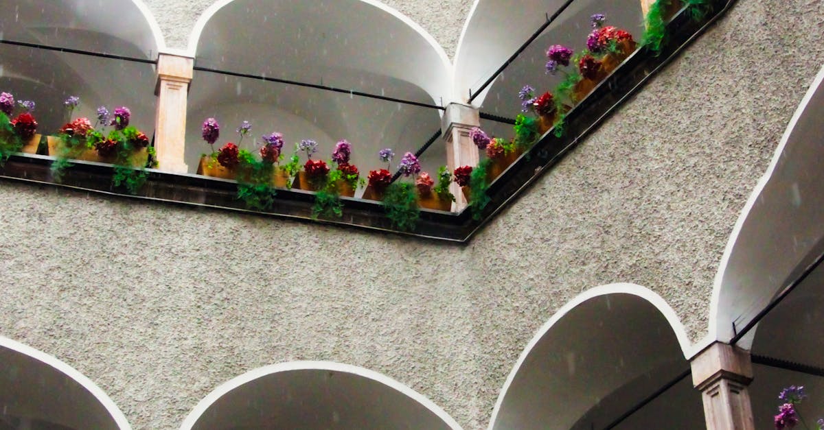 今年首颱 蝴蝶 生成 最新路徑曝光 這天雨勢最猛烈