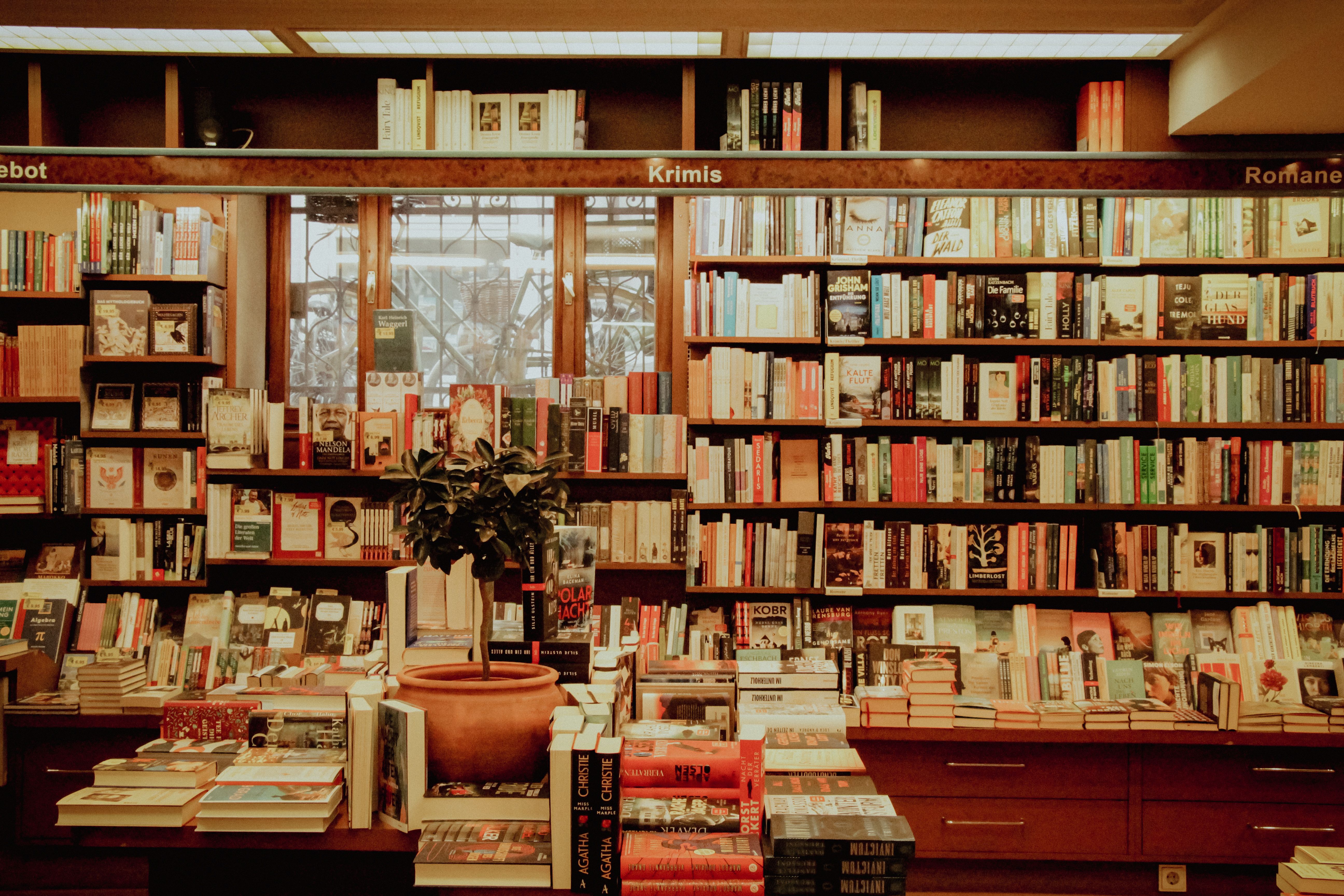 Interior Acogedor De Librería Con Estanterías Diversas · Foto de stock ...