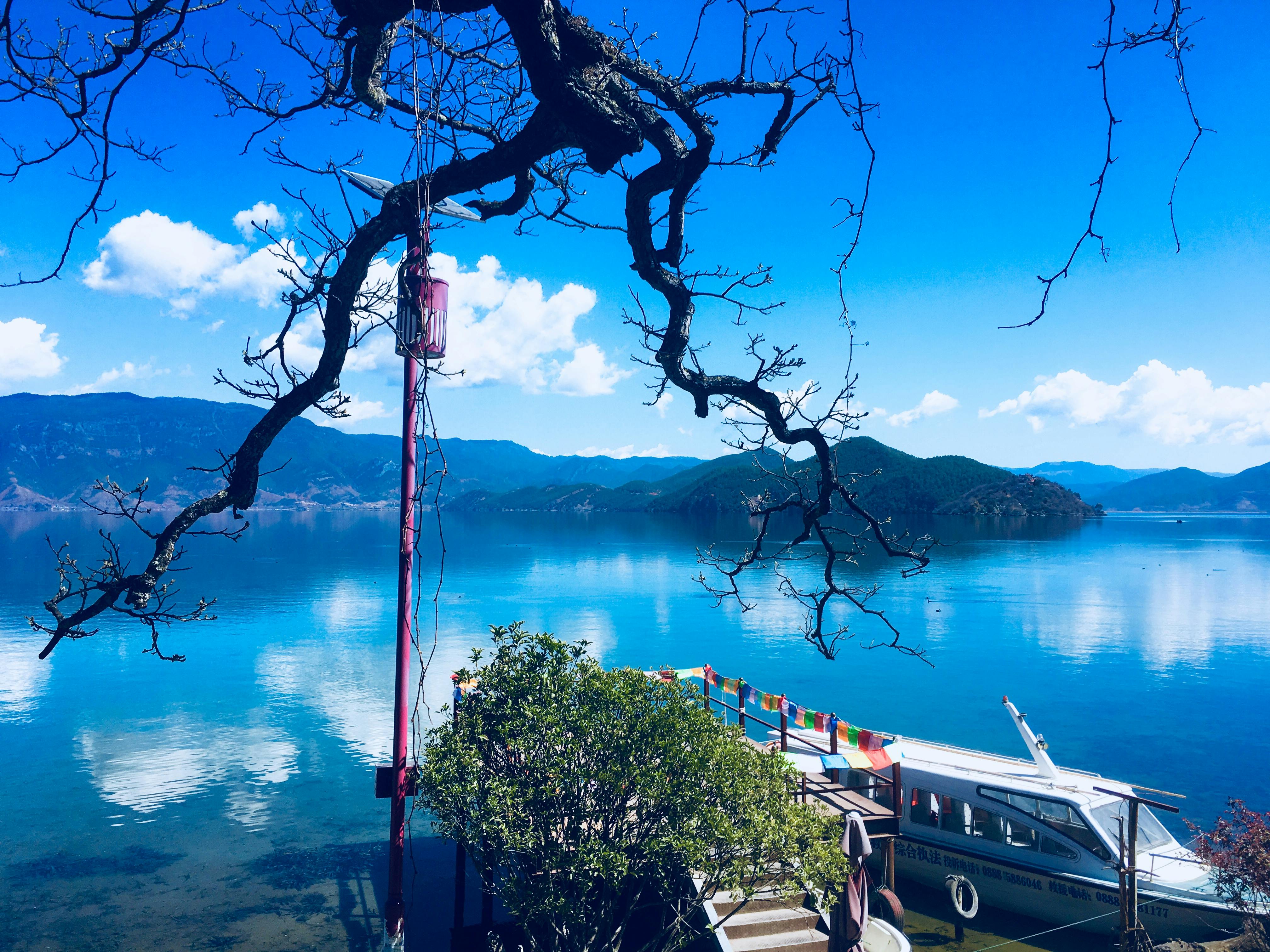 Wellington harbor and city