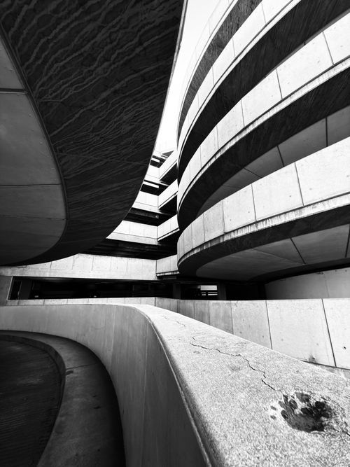 Free Dynamic black and white photo highlighting curves of modern architecture. Stock Photo