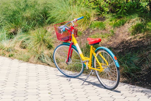 Una bicicletta dai colori vivaci, gialla, rossa e blu, parcheggiata su un sentiero soleggiato, accanto a un rigoglioso prato verde.