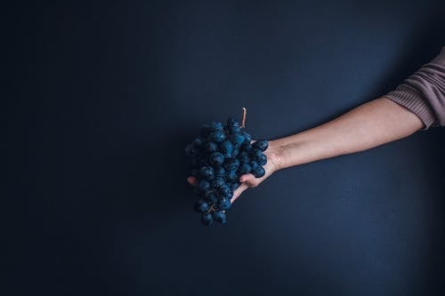 Person Holding Bunch of Grapes