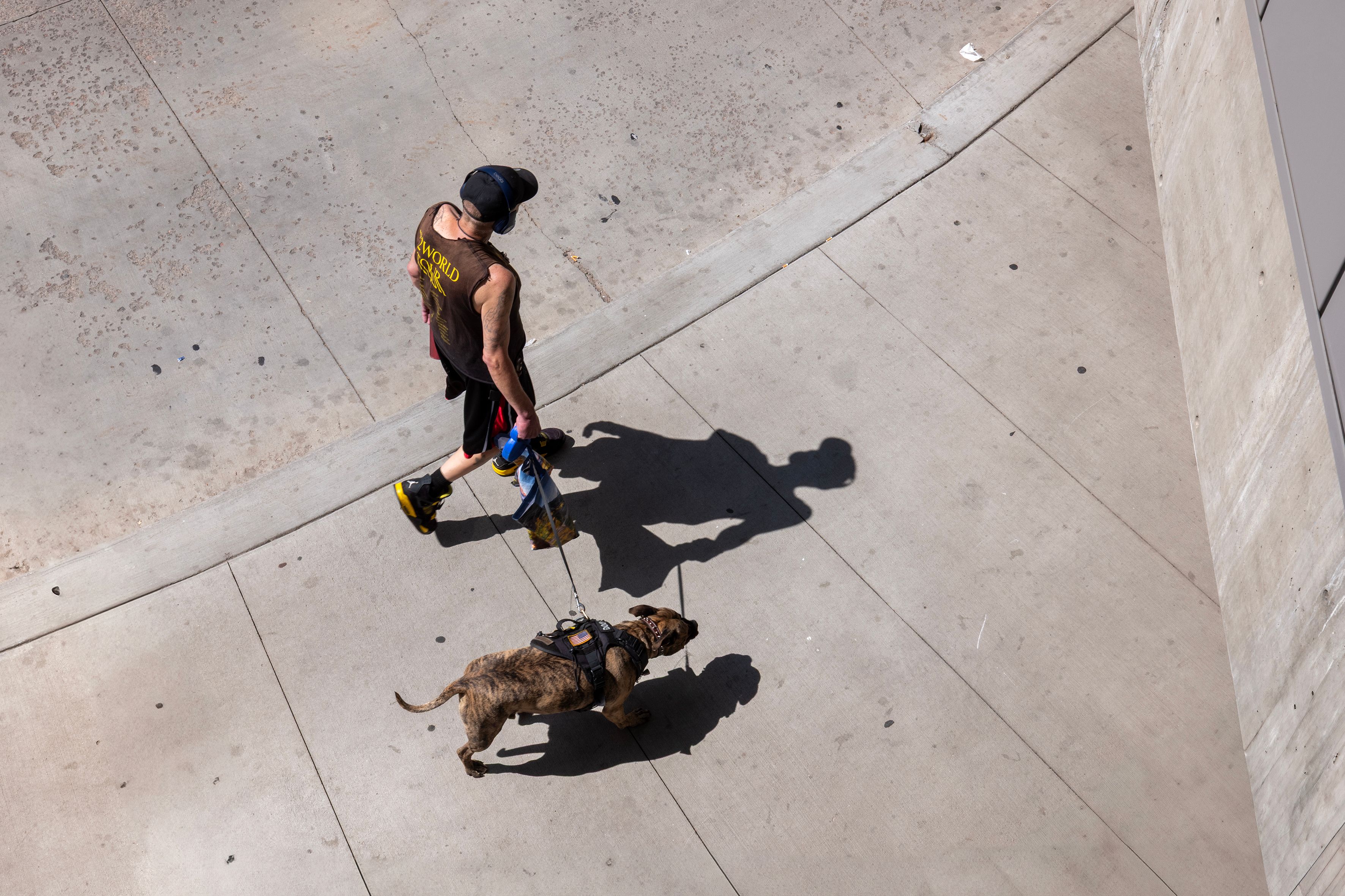 Man and dog walking on a sunny urban street in Denver, Colorado.