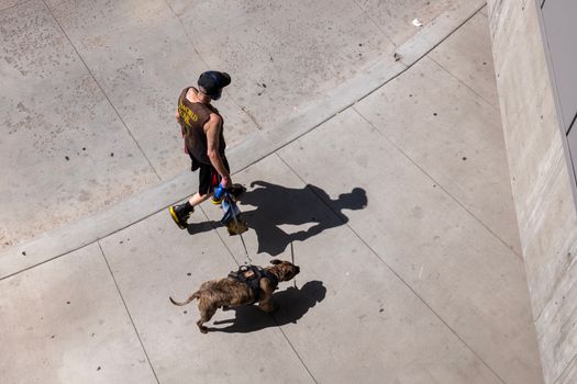 denver brewery dog patio