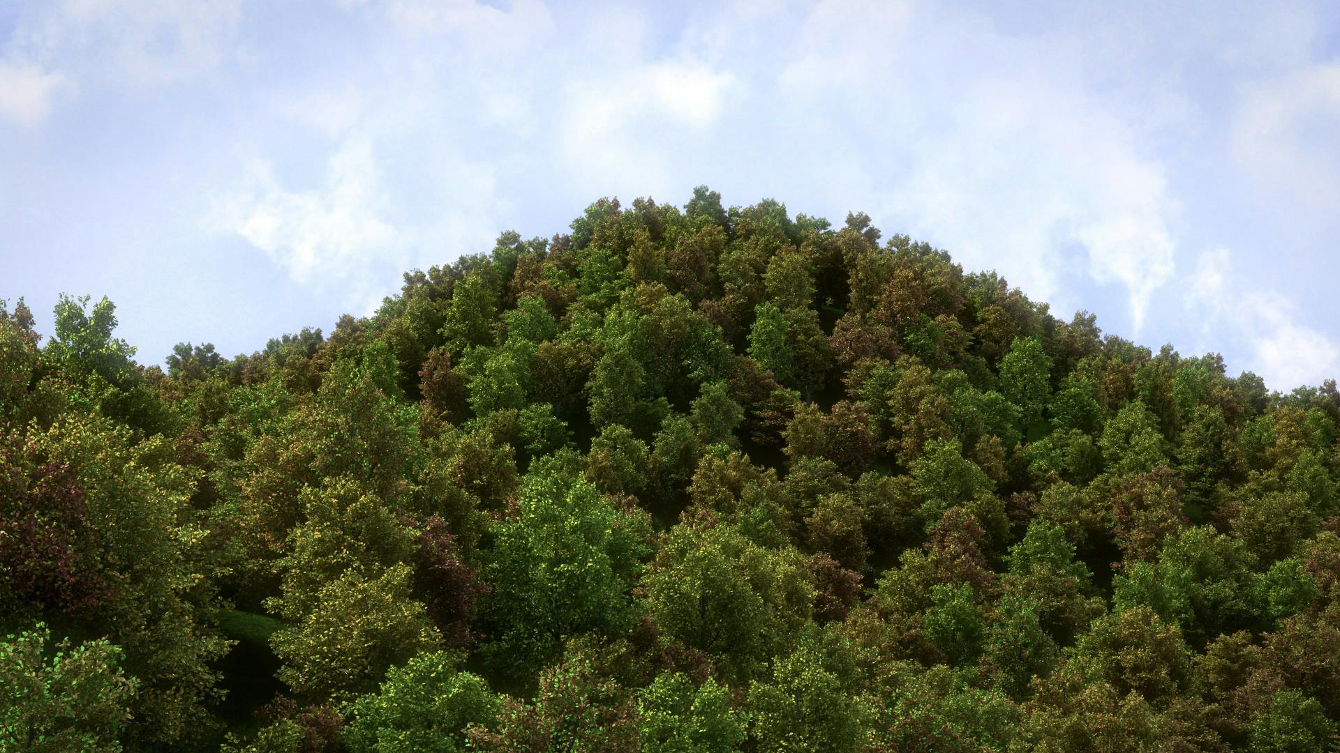 Free stock photo of forest, hill