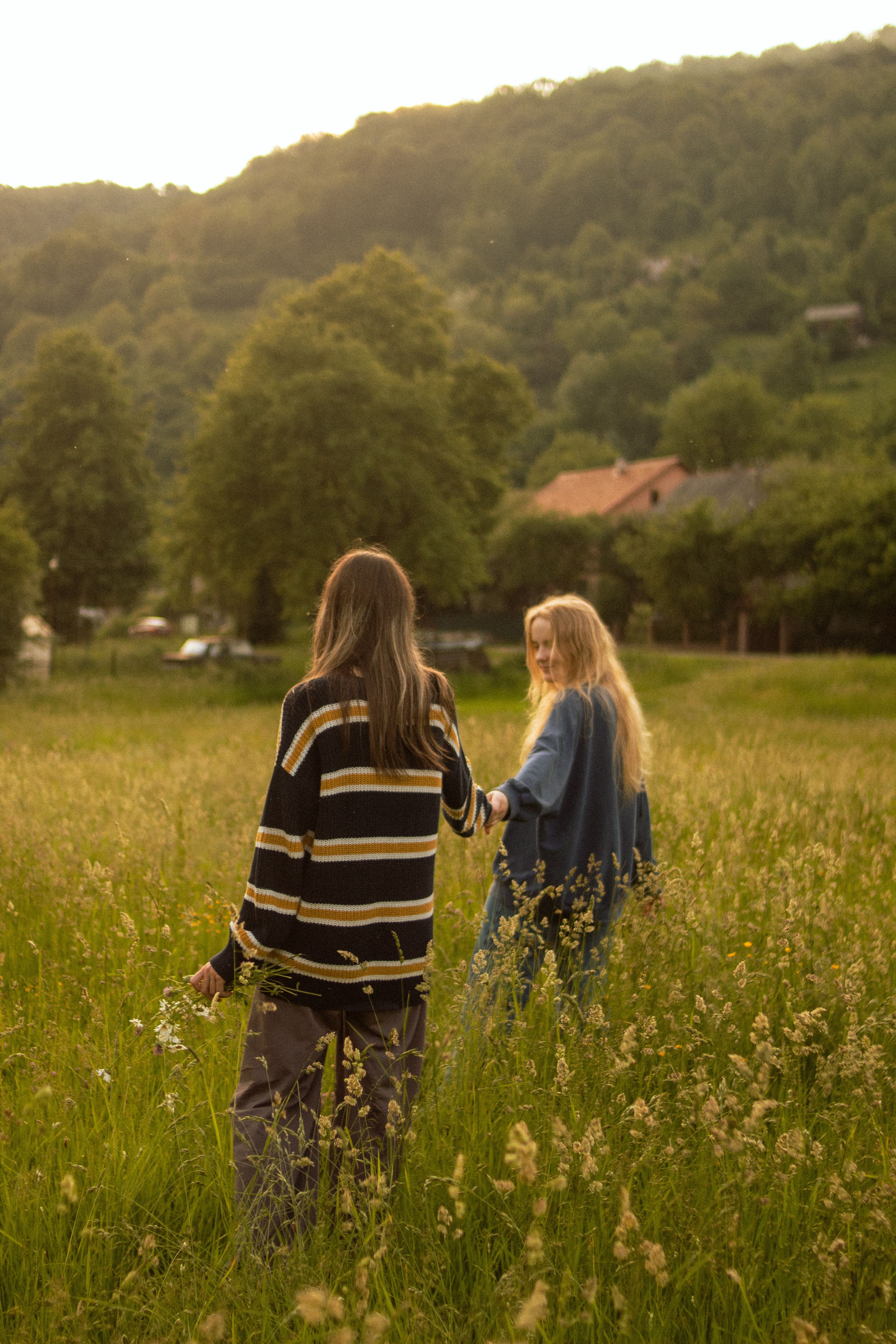 Two friends walk through a lush green meadow in summer's warm glow.