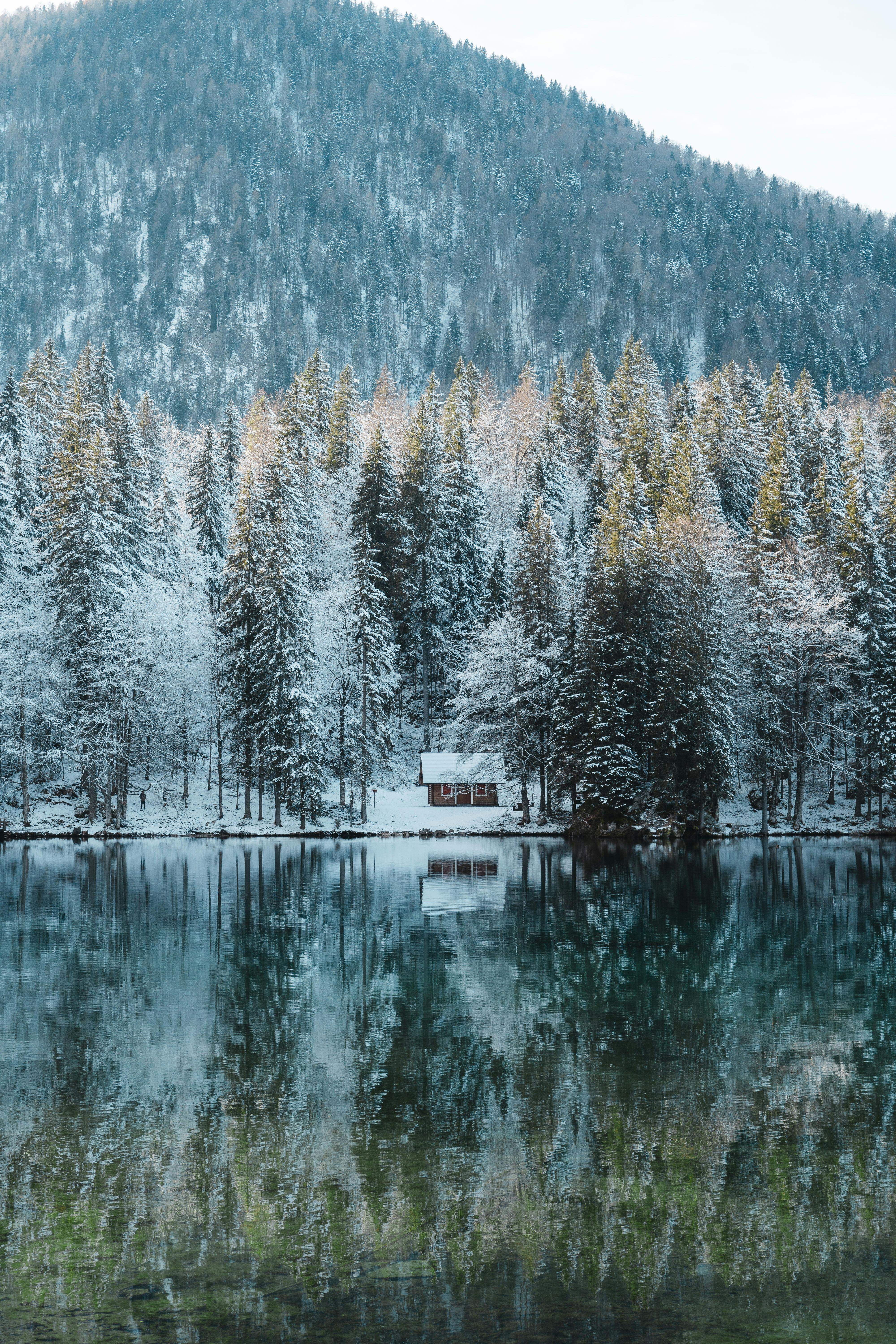 A peaceful winter scene of a cabin surrounded by snow-covered trees reflecting in a tranquil lake.
