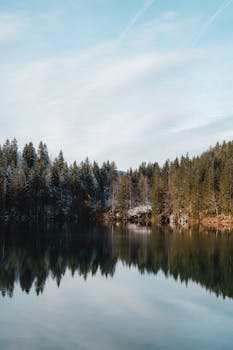 A peaceful mountain lake reflecting evergreen trees under a clear blue sky.