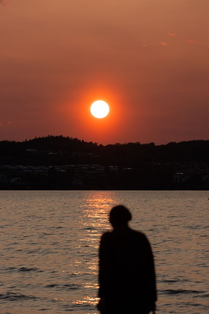 Sunset In June Photos, Download The BEST Free Sunset In June Stock ...