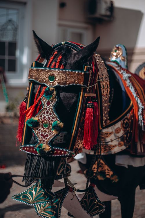 Free A horse adorned with intricate, colorful traditional parade attire outdoors. Stock Photo