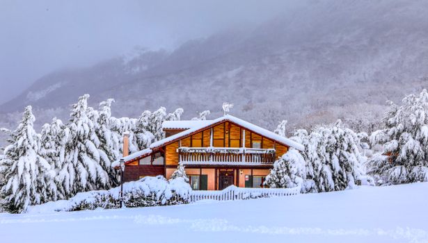 Charming cabin surrounded by snow-covered trees during winter.
