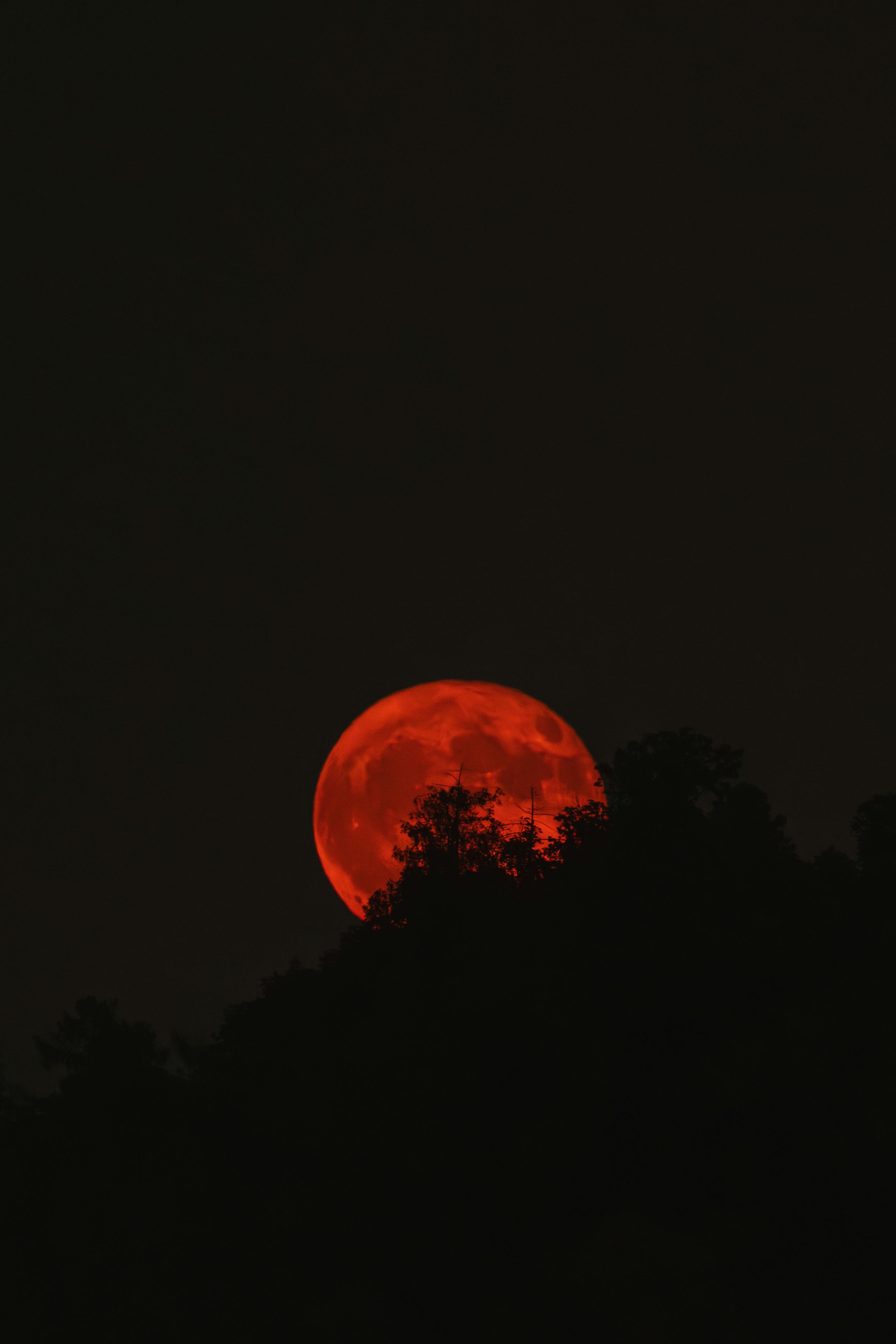 Captivating red lunar eclipse creating a mystical view over a forest silhouette at night.