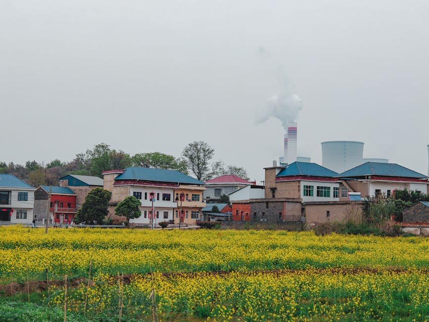 성수동 부동산
