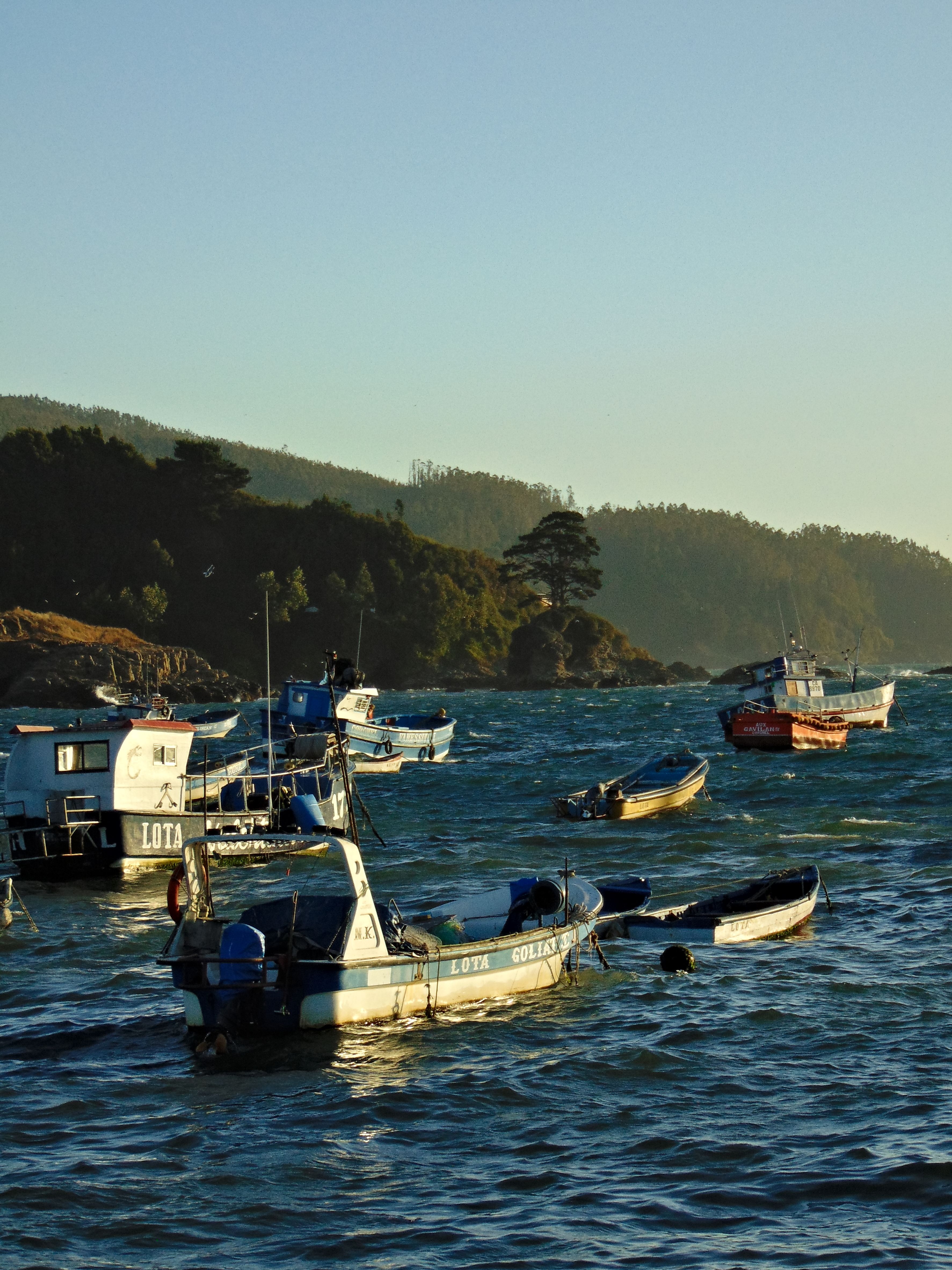 Collisione di jet ski, barca 'imbrochável' e ritratto del padre: i retroscena della gita in barca di Flavio Bolsonaro ad Angra dos Reis