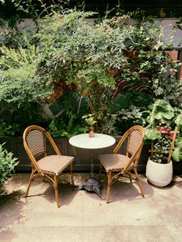 Cozy outdoor cafe setting with wicker chairs and lush greenery, exuding calm and serenity.