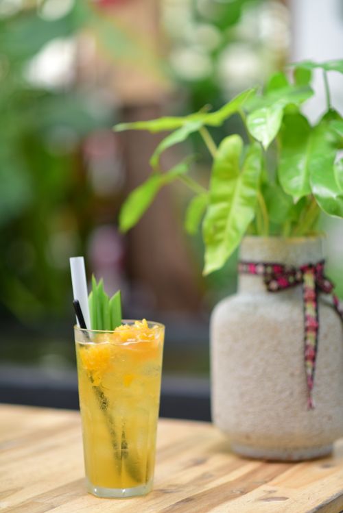Free A refreshing tropical drink in a glass with a green plant in the background on a wooden table. Stock Photo