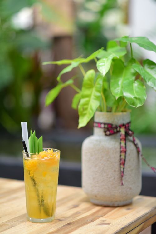 Free Glass of citrus drink beside a decorative potted plant on a wooden table. Stock Photo