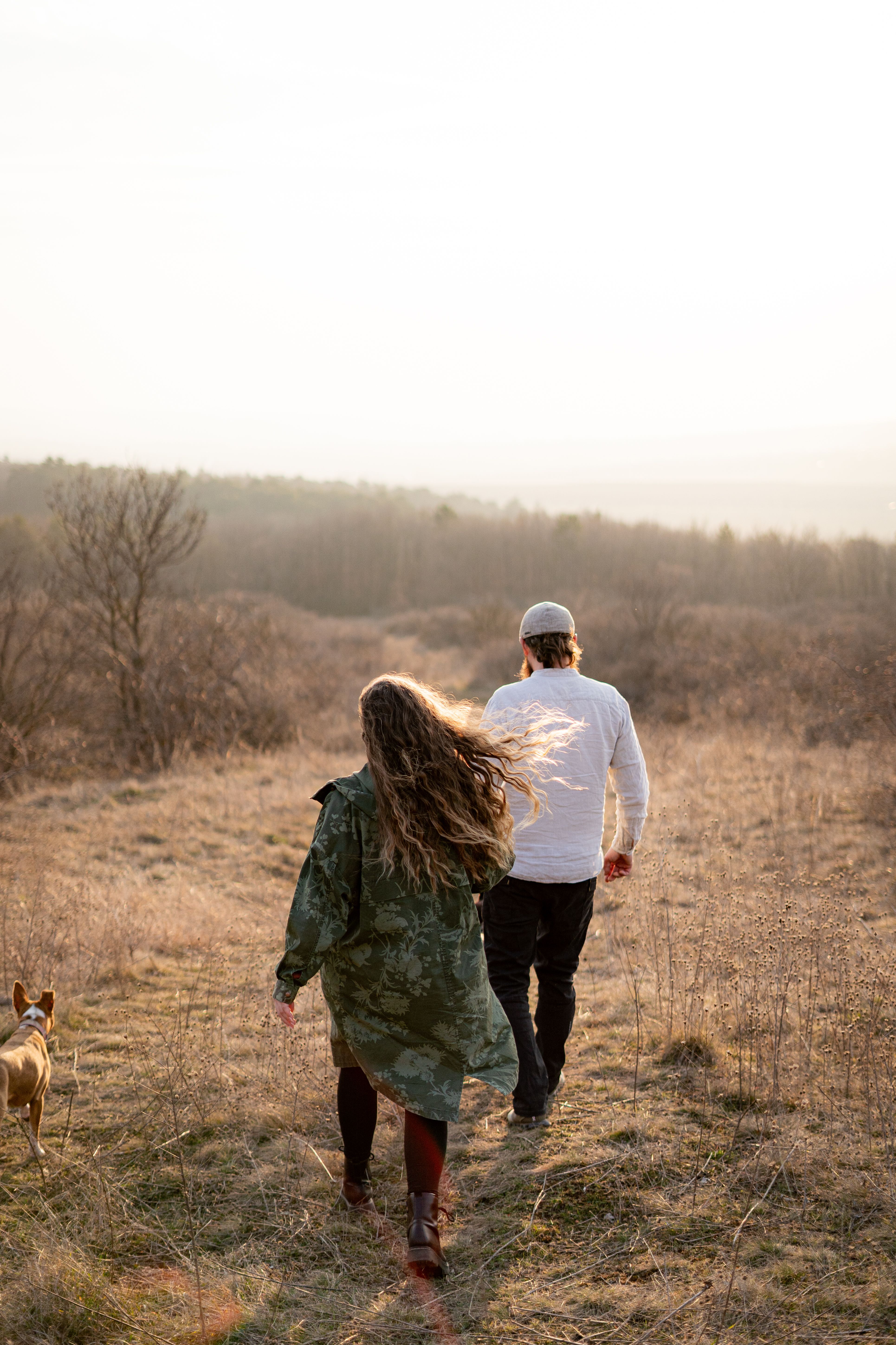 Couple Walking with Dog in Sunlit Field · Free Stock Photo