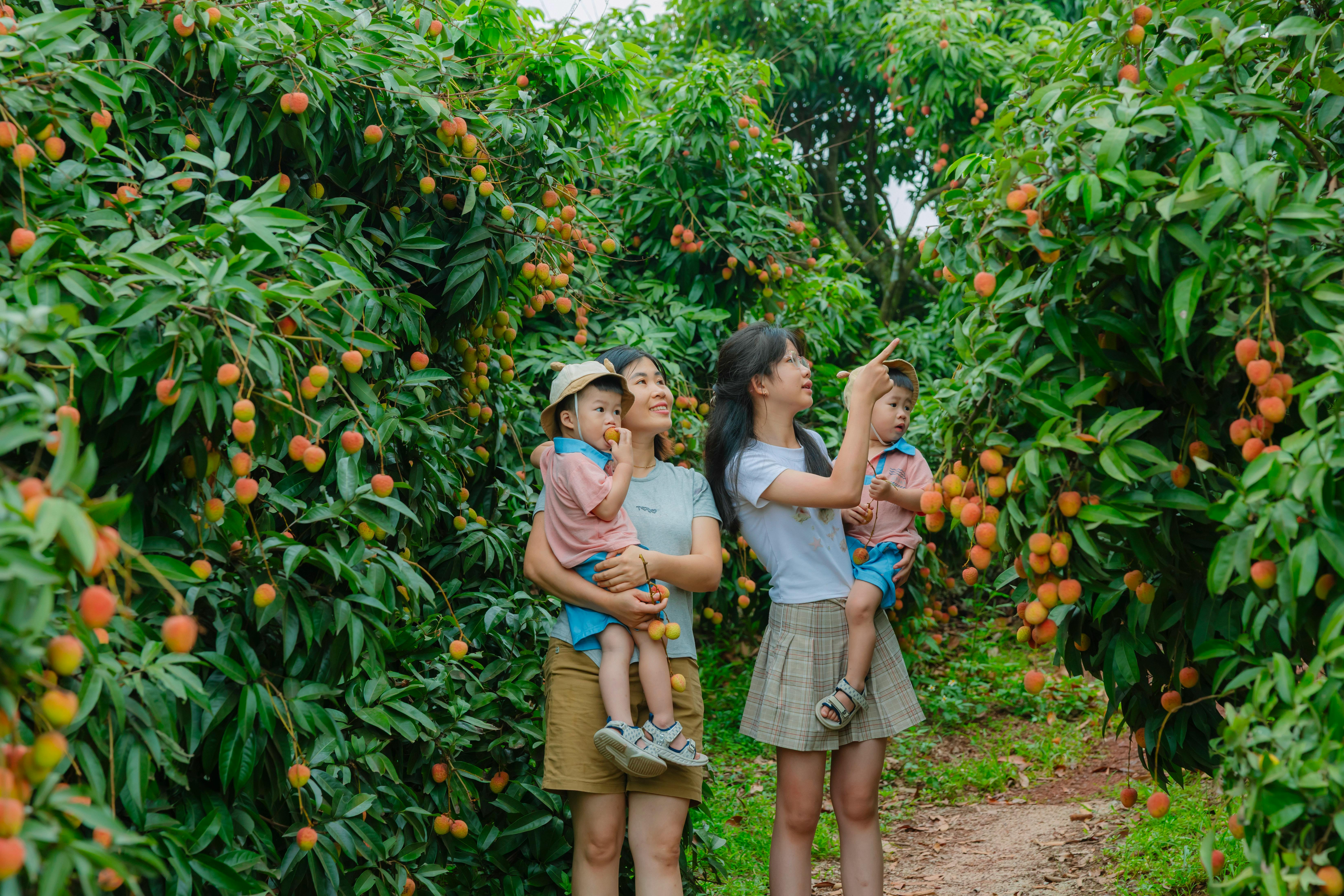自我覺察與情緒管理練習