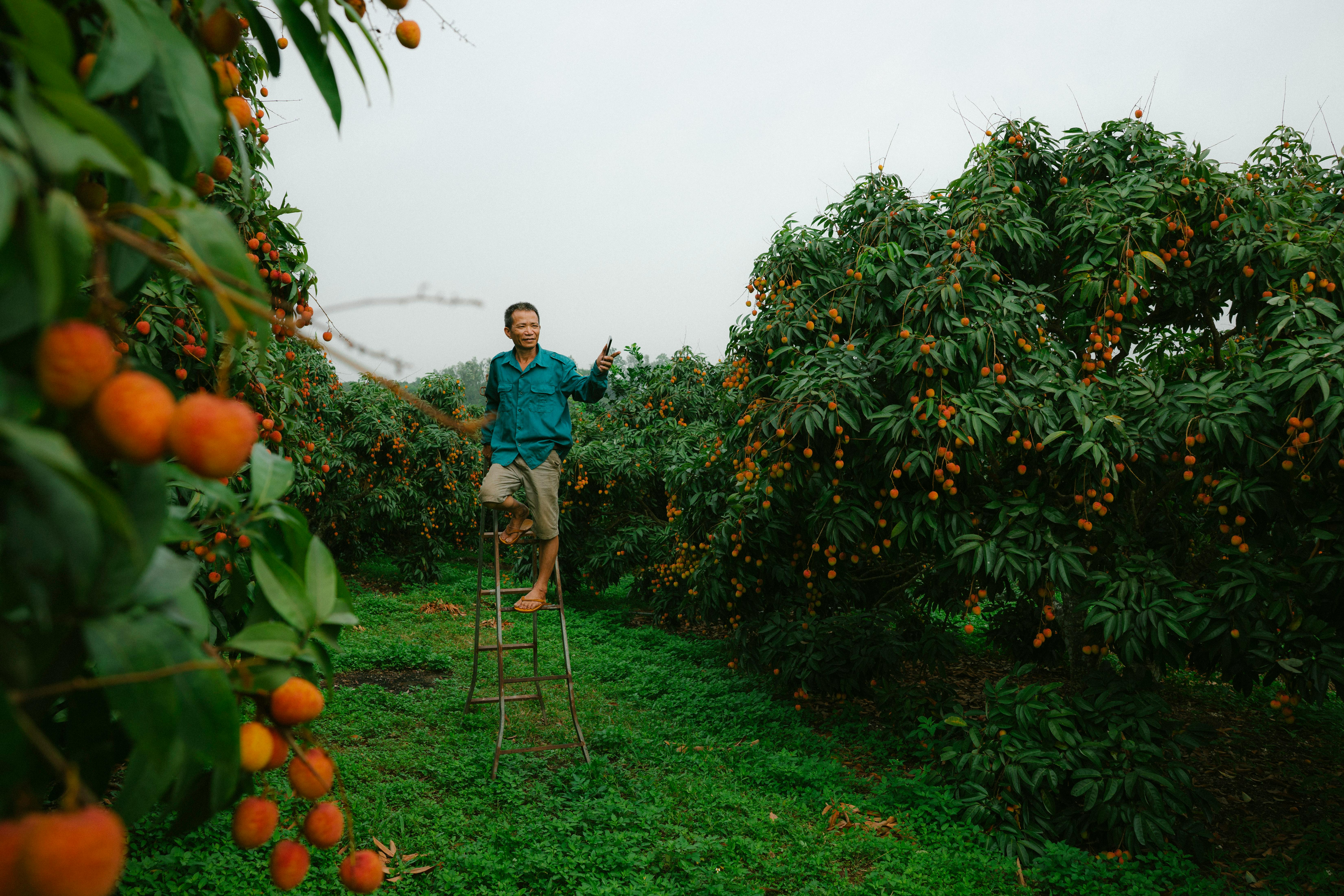 Unveiling the Mystique of Exotic Aromas and Their Origins