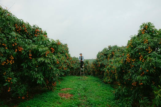 Photo by HONG SON