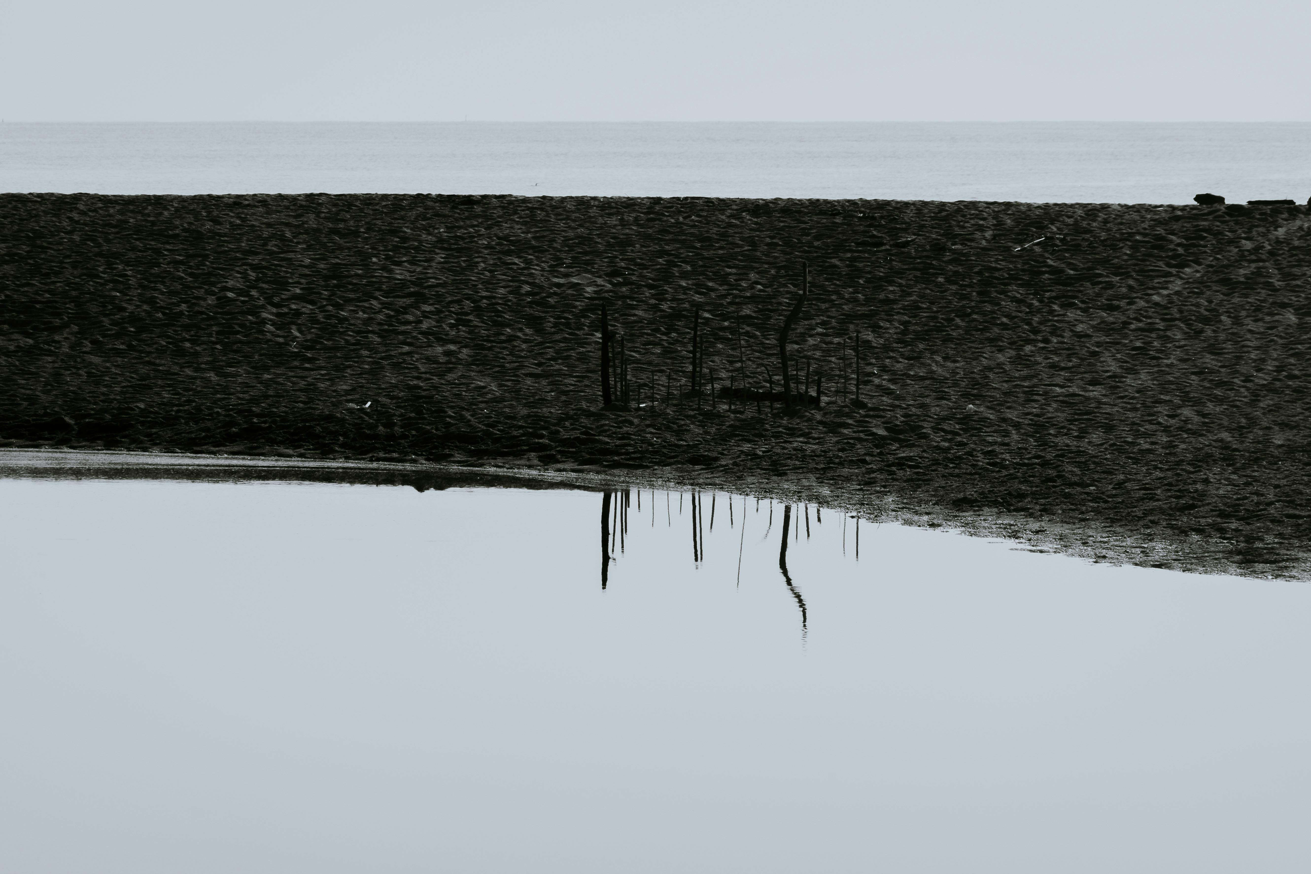 Kostnadsfria Lugn svartvit bild av en lugn kust med reflektioner i vattnet. Stock foto