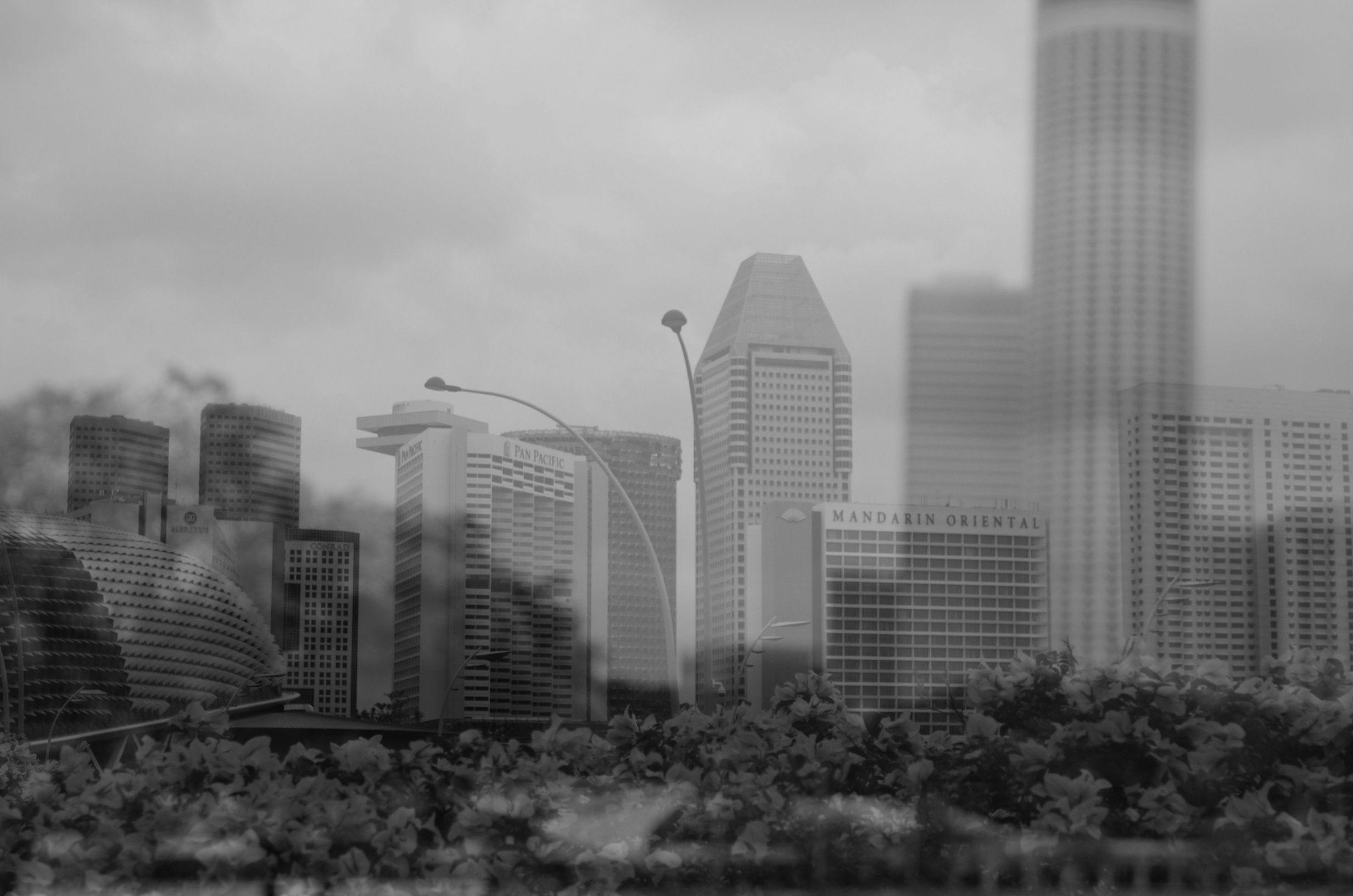 grayscale photo of city buildings