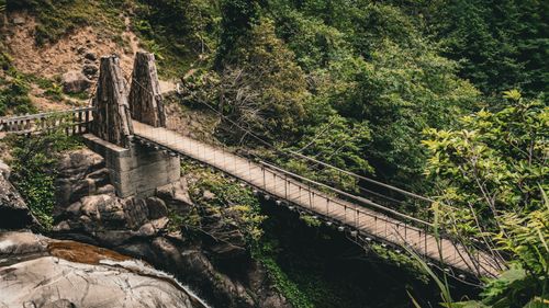 Free A scenic view of a wooden bridge crossing a lush forest stream in Artvin, Türkiye. Stock Photo