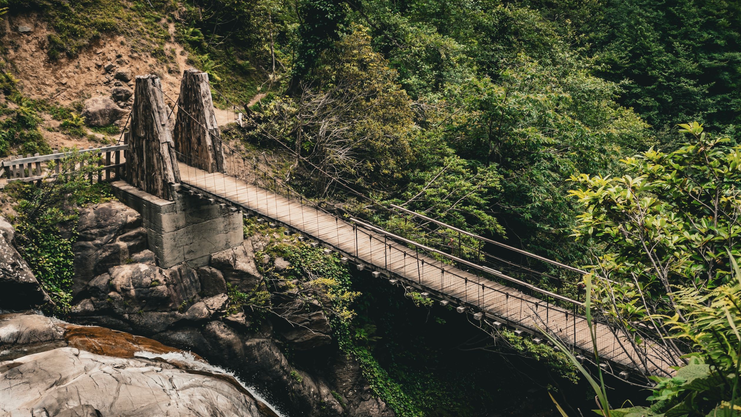 Rustic Wooden Bridge in Artvin Forest Landscape · Free Stock Photo