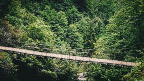 Free Wooden suspension bridge crossing a dense forest in Artvin, Türkiye, surrounded by greenery. Stock Photo