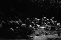 这是一张迷人的黑白照片，照片中，一群火烈鸟在夜晚平静的池塘里涉水