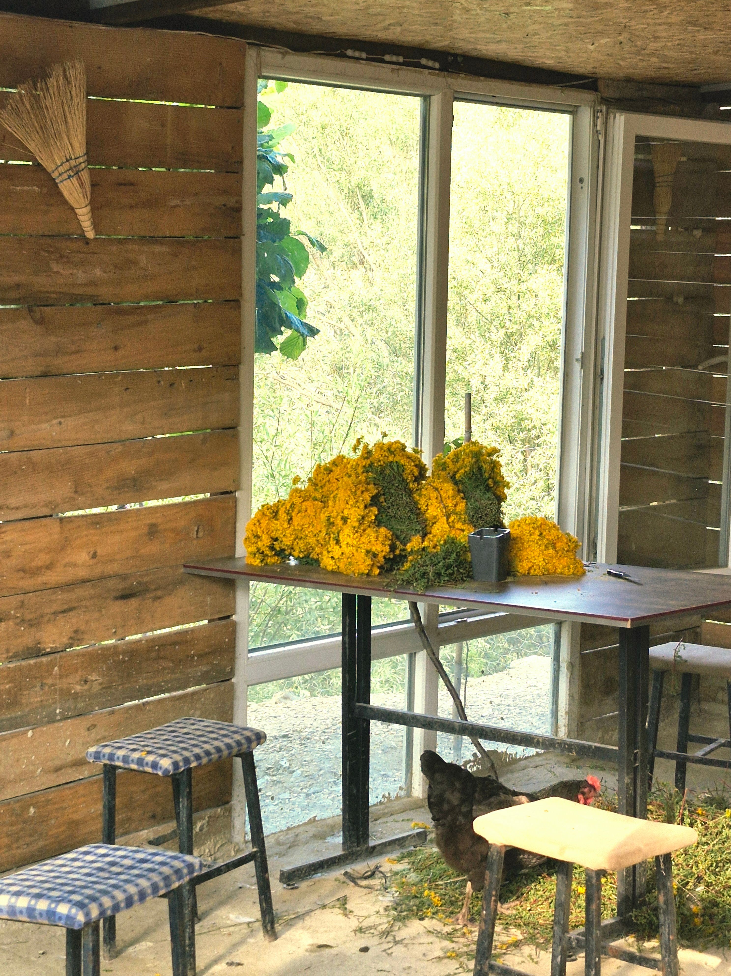 Country Living Photos, Download The BEST Free Country Living Stock ...